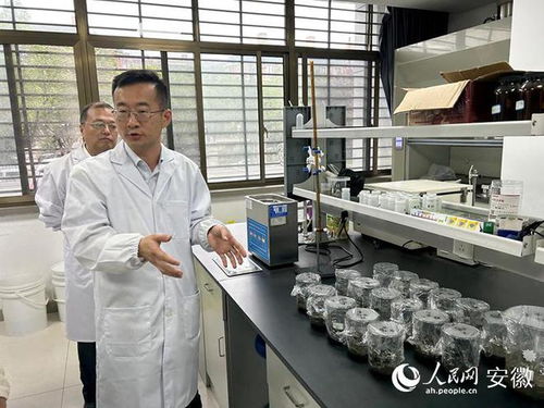 东华科技举办媒体开放日活动