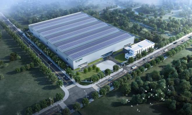 科技赋能渔业新篇:石斑鱼养殖“梦工厂”在沪开工